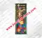 Flower Pot Asoka (10PCS) (Basic)